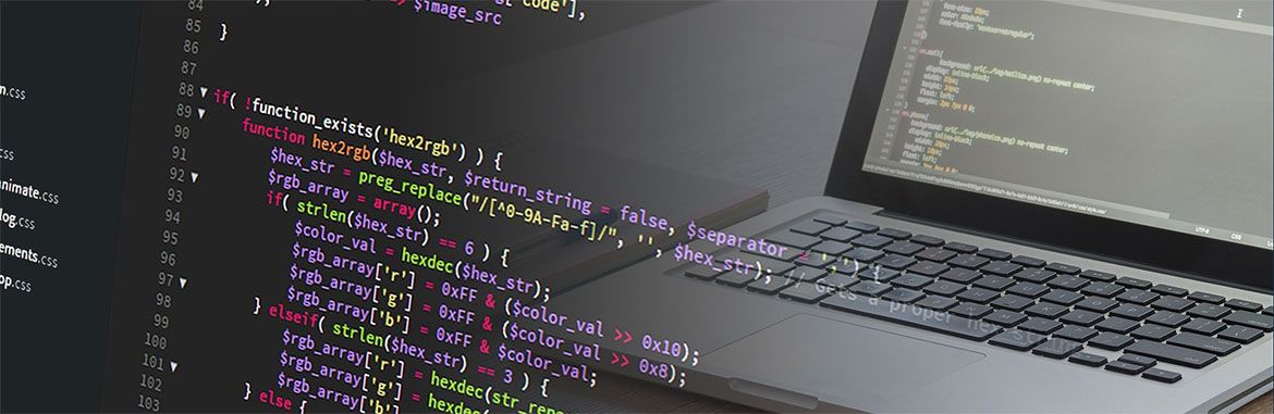 web-development-agency Freelance WordPress Developer London